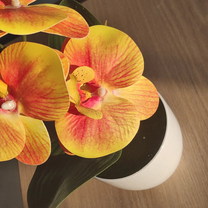 Artificial Butterfly Orchid with Vase