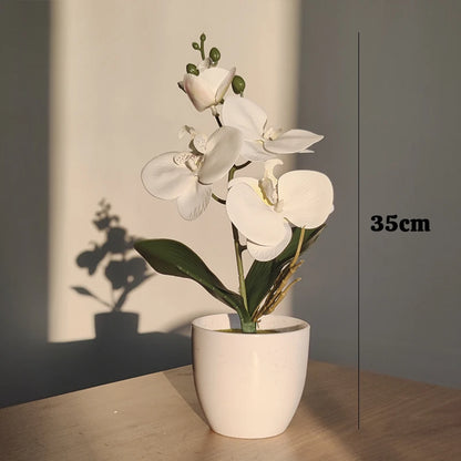 Artificial Butterfly Orchid with Vase